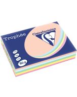 Ramette de papier Trophée de 500 feuilles A4 - Assortiment Pastel : CLAIREFONTAINE Modèle