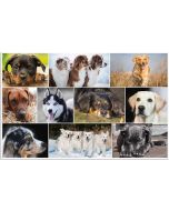 Image Sous-mains de bureau - 400 x 530 mm - Chiens LAUFER