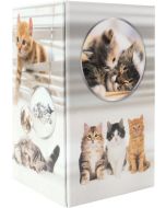 Pot à crayons en carton - 80 x 80 x 135 mm HERMA Animaux Chats
