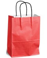 Sac en Papier Strong - 21,7 litres - Kraft Brun NATURE Star Lot de 250