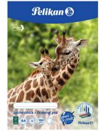 PELIKAN : Bloc à dessin de 20 feuilles - A3 Photo