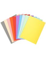 Lot de 50 Chemises pour dossiers - Assortiment EXACOMPTA Forever 170 Modèle