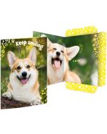 Carton à Dessin à élastique - A3 - Corgi RNK Verlag