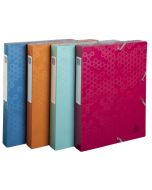 Boîte de classement - Dos 40 mm - Assortiment : EXACOMPTA Maïa image