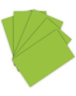 Feuille de papier - 220 g - 500 x 700 mm - Vert Printemps : FOLIA Visuel