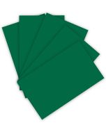 Feuilles de papier de couleur - 500 x 700 mm - Vert sapin : FOLIA Visuel