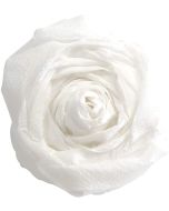 Papier Crépon - Blanc - 500 x 2500 mm : CLAIREFONTAINE Exemple