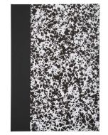 LE DAUPHIN Registres 192 pages quadrillées - 340 x 225 mm 422506D 