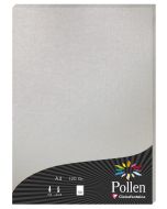 Photo Feuille de couleur Argent 210 x 297 mm A4 POLLEN 4199C