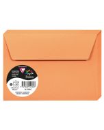 Photo Enveloppe POLLEN Clémentine Format  114 x 162 mm 5496C
