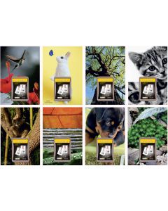 Bloc éphéméride 2025 - Nature - 60 x 90 mm Calendrier LECAS