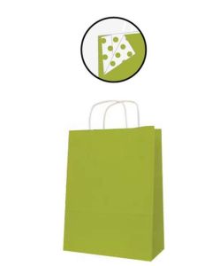 Sac en Papier - 250 x 110 x 310 mm - Kraft Vert APLI Lot de 50 Photo