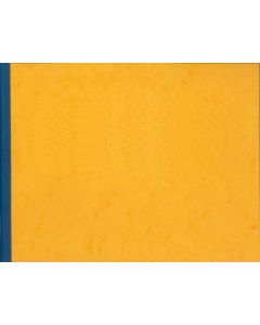 Registre à têtes paresseuses - 13 colonnes 80 pages - 250 x 320 mm : ELVE 1884131