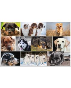 Image Sous-mains de bureau - 400 x 530 mm - Chiens LAUFER