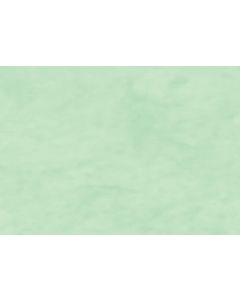 Papier Cadeau Kraft uni - Blanc - 0,7 x 10 m CLAIREFONTAINE