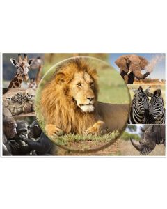 Sous-main de bureau - 550 x 350 mm HERMA Animaux Chats Recto