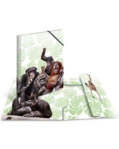 Chemise à élastiques A4 Motif Singes : HERMA image