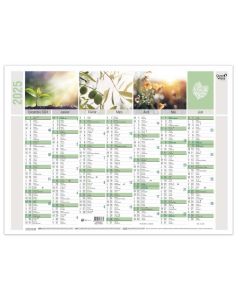 Calendrier mural 2025 - Equology - 550 x 405 mm QUO VADIS