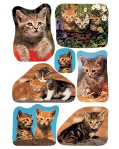 Stickers en papier - Photo de Chat : HERMA Lot de 21 Image