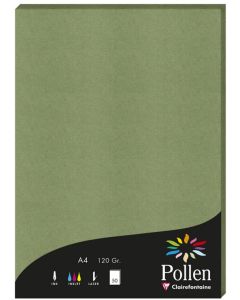 Feuilles de couleur A4 - 210 x 297 mm - Vert sauge POLLEN  Lot de 50