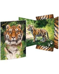 Carton à Dessin à élastique - A3 - Tigre RNK Verlag