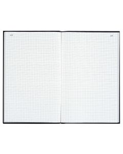 LE DAUPHIN : Registre 300 pages quadrillées avec foliotage - 297 x 210 mm