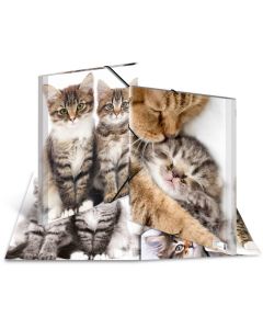 Chemise à rabats - A3 Chats : HERMA image