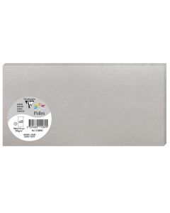 Photo POLLEN Carte DL Argent 106 x 213 mm 11589C Clairefontaine