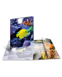 Photo Chemise à élastique A4 - Motif Poissons HERMA image