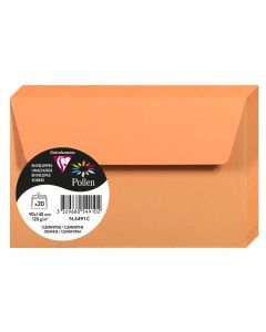 Photo Enveloppe POLLEN Clémentine Format  90 x 140 mm 5491C