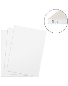 Photo TRANSOTYPE 10 plaques de mousse - 297 x 420 mm - Blanc 
